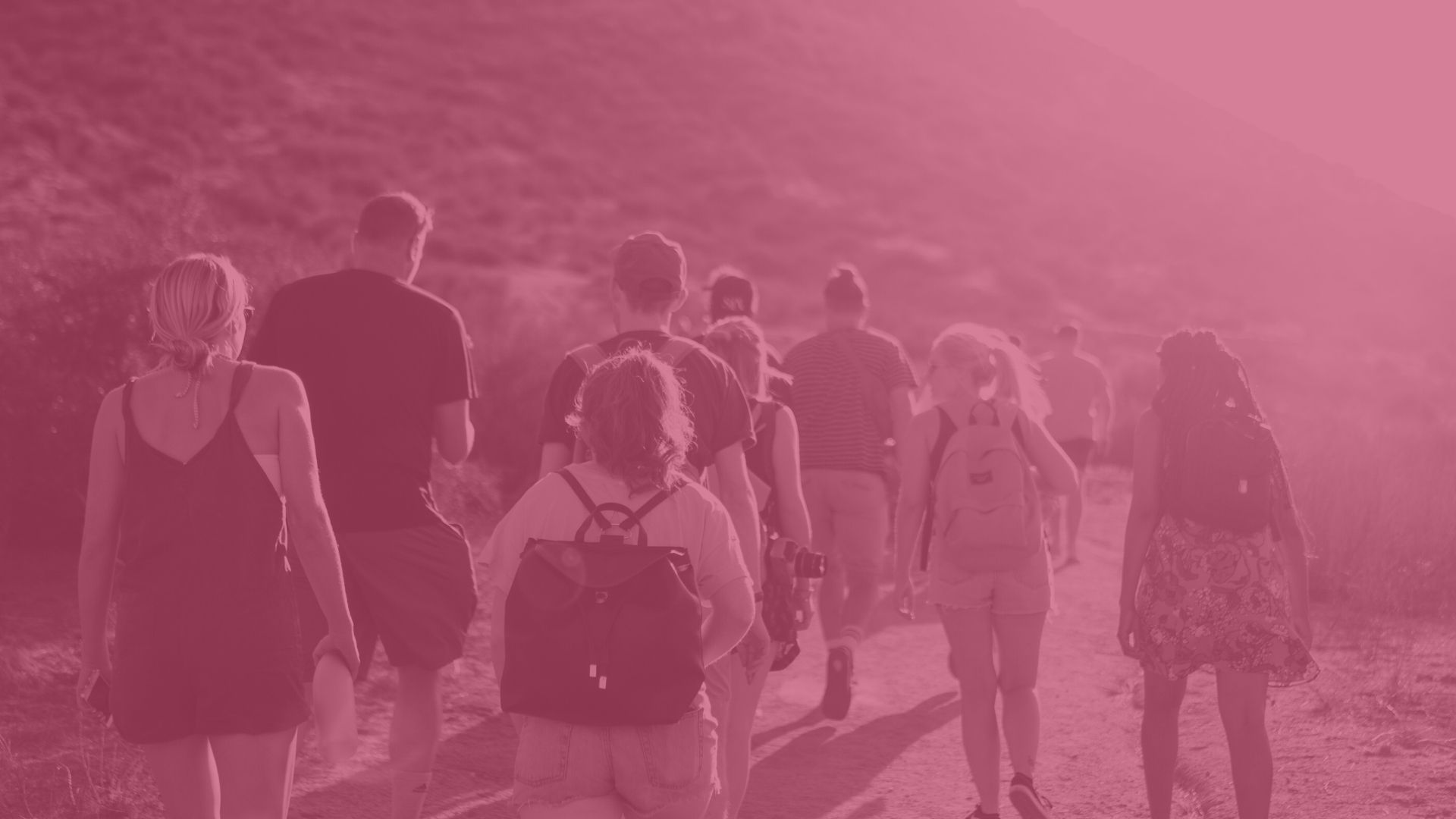 C4S Search | Talent Solutions | Exec Search